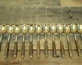 Set of 12 Matching Brass Rosewood Short Teaspoons, from Thailand Siam. Rustic Wood Spoon Set for a Vintage Kitchen.
