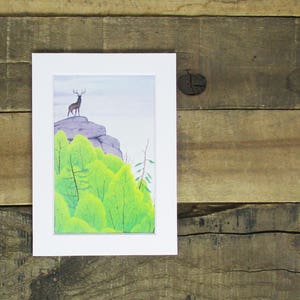 Vintage 1970's Buck / Deer / Nature / Forest Print from a Vintage Children's Book. 5x7.