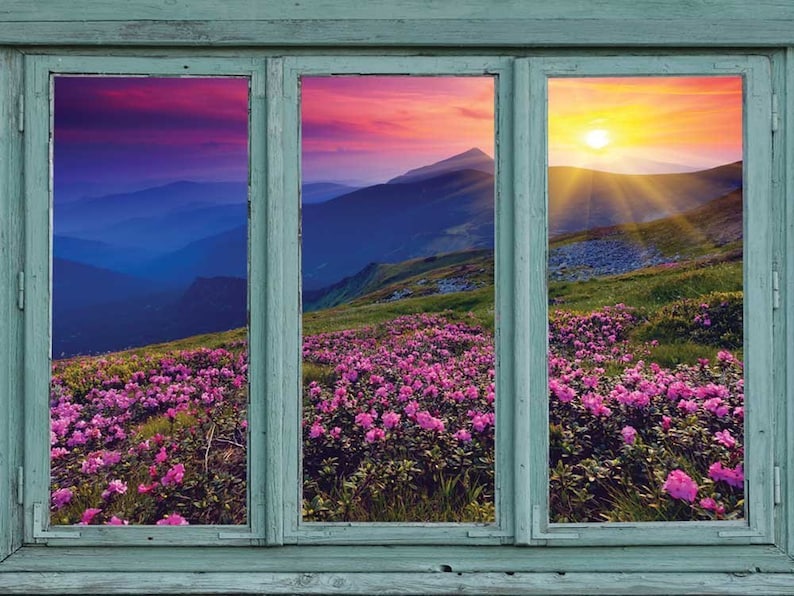Sunset over blue mountains and rocky soil with flowers in bloom-Wall Mural
