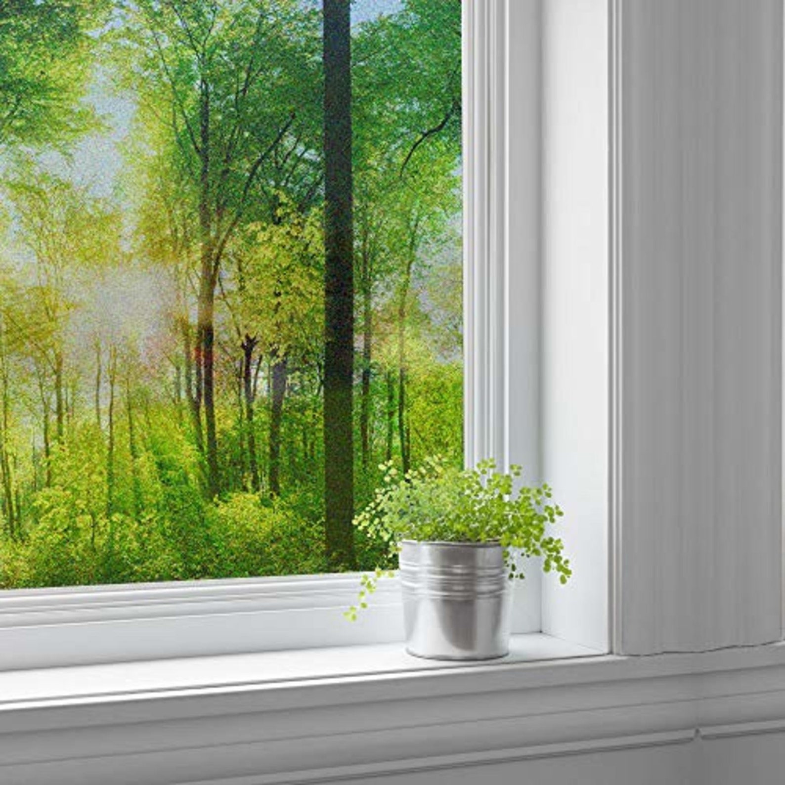 Wall26 Privacy Window Film Forest and Flowers Large Decorative Etsy