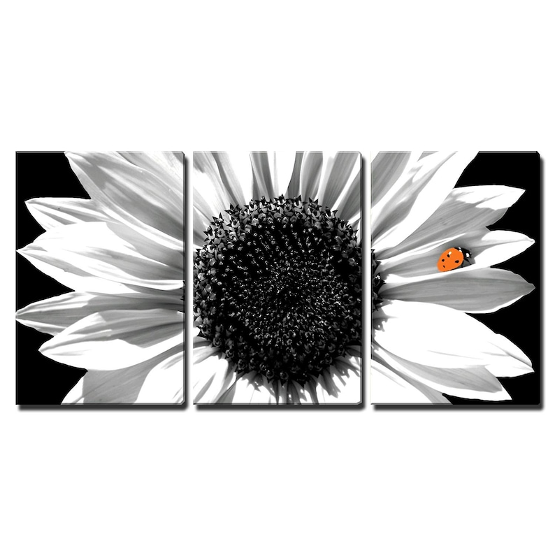 wall26-3 Piece Canvas Wall Art Sunflower in Black and White with Red Ladybug Modern Home Decor Stretched and Framed Ready to Hang