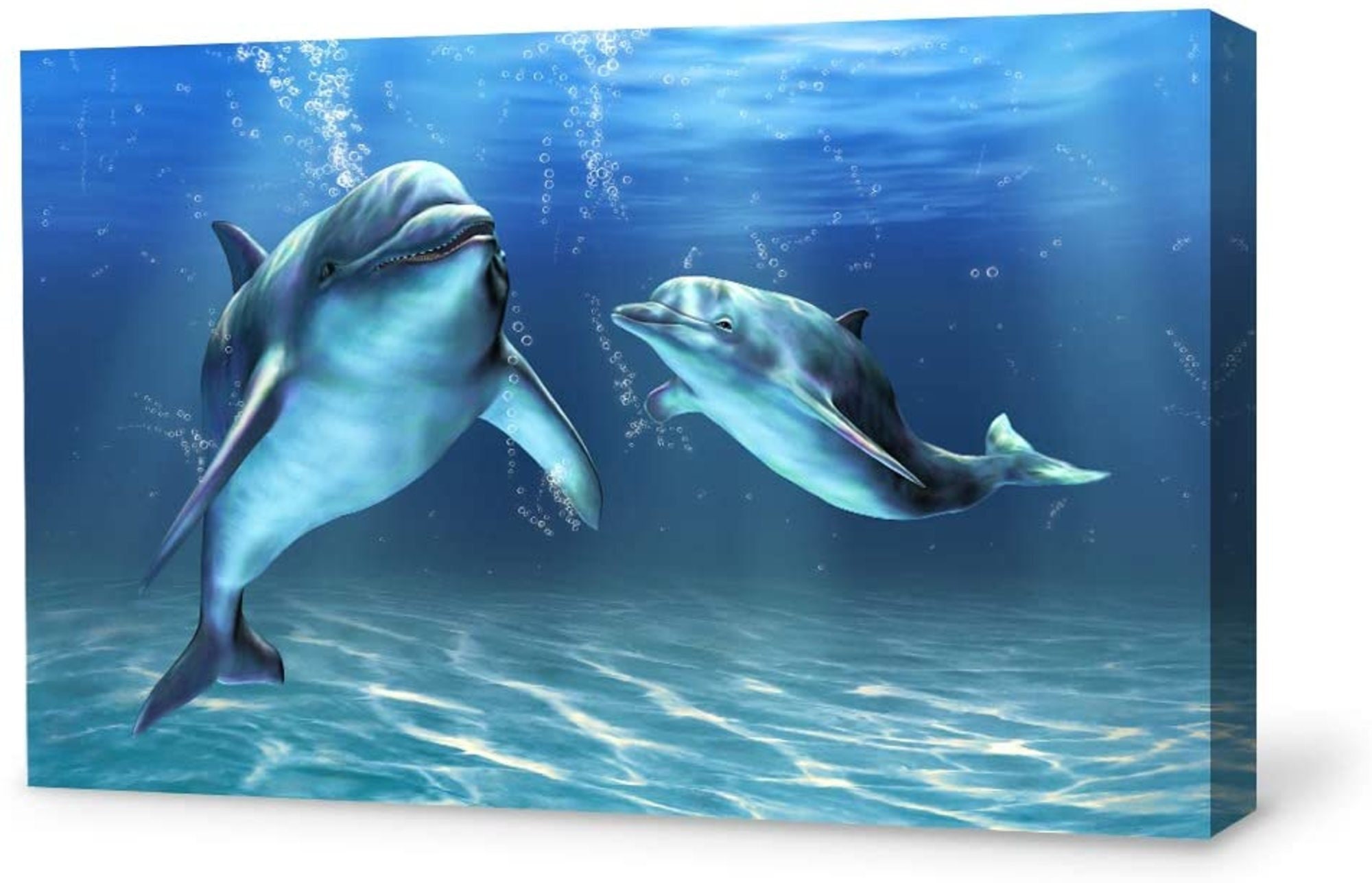 Wall26 Canvas Wall Art Lovely Dolphin Canvas Prints Home Etsy