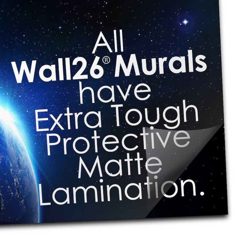 Self-adhesive Large Wallpaper Take Me to the Dream Removable Wall Mural wall26