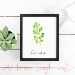 Cilantro Kitchen Herb Print - DIY Printable Sign - Kitchen Decor - Watercolor Printable Art {INSTANT DOWNLOAD - 5x7 & 8x10}