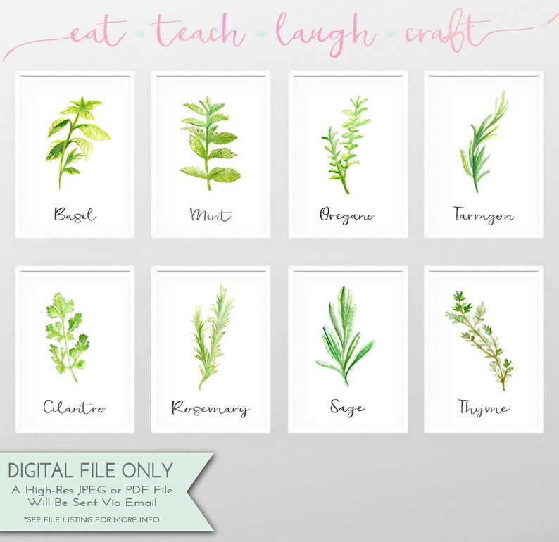 Basil Kitchen Herb Print DIY Printable Sign Kitchen Decor - Etsy