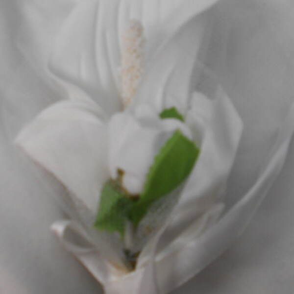 Set of 6 White  Calla lilies and buds   boutonniers or corsages