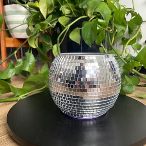 Small Disco Bowl Planter