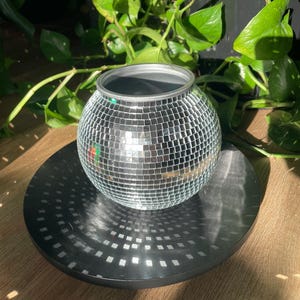 Disco Bowl Planter