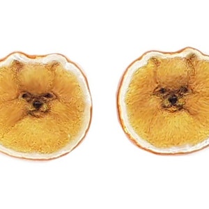 Pomeranian Post Earrings Small
