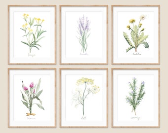 Set of 6 Botanical Blossoms, Garden Herbs DIGITAL Download, Watercolor Paintings - Lavender, Rosemary, Turmeric, Dandelion, Dill, Tarragon