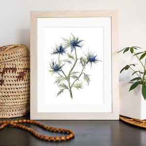 Blue Thistle Watercolor Print: Botanical Garden Art (Digital Download)