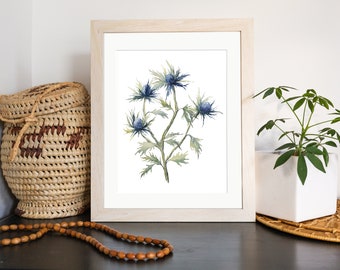 Blue Thistle Watercolor Painting - Digital Download -Garden Plant, Botanical Art, Medicinal Herb, Kitchen Decor Wall Art