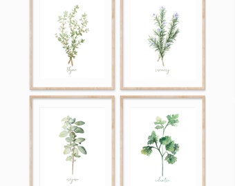 Set of 4 Watercolor Herb Paintings (DIGITAL) - Gift for Mom - Botanical Wall Art, Kitchen Garden Decor, Farmhouse