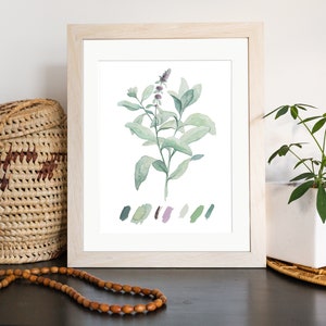 Lambs Ear Watercolor Painting Digital Download Garden Plant, Botanical Art, Medicinal Herb, Kitchen Decor Wall Art image 2