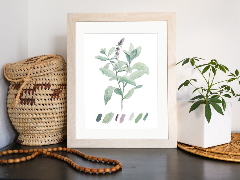 Lambs Ear Watercolor Painting Digital Download Garden Plant, Botanical Art, Medicinal Herb, Kitchen Decor Wall Art 画像 2