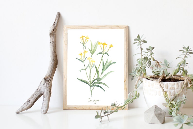 Tarragon Herb Wall Art Botanical Watercolor Painting Plant Etsy