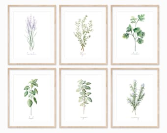 Kitchen Herbs Wall Art, Set of Six DIGITAL Watercolor Paintings-Basil, Rosemary, Cilantro, Oregano, Lavender, Thyme-Garden Herb Wall Art