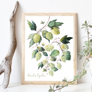 Hops Plant Printable - Botanical Wall Art, Watercolor Painting, Humulus Lupulus Beer Illustration - INSTANT DOWNLOAD