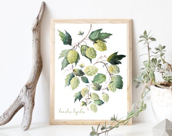 Hops Plant Printable - Botanical Wall Art, Watercolor Painting, Humulus Lupulus Beer Illustration - INSTANT DOWNLOAD