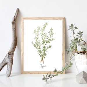 Thyme Herb Watercolor Painting- Digital Download- Botanical Wall Art, Garden Plant illustration, Kitchen Farmhouse Print