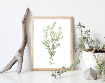 Thyme Herb Watercolor Painting- Digital Download- Botanical Wall Art, Garden Plant illustration, Kitchen Farmhouse Print