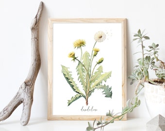 Dandelion DIGITAL DOWNLOAD - Botanical Print, Plant Artwork, Herb Illustration, Taraxacum Flower, Print, Medicinal