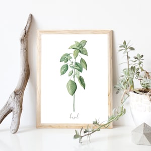Basil DIGITAL Herb Watercolor Painting!  Garden, Botanical, Plant Artwork, Kitchen Decor, Farmhouse, Print - INSTANT DOWNLOAD