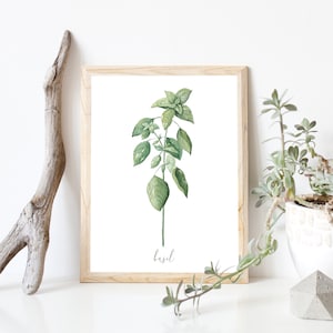 Basil DIGITAL Herb Watercolor Painting Garden, Botanical, Plant Artwork, Kitchen Decor, Farmhouse, Print INSTANT DOWNLOAD image 1