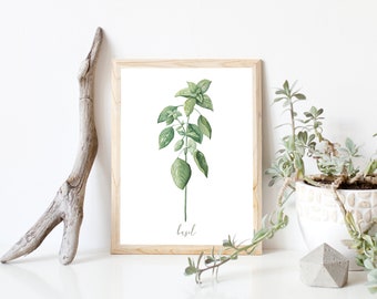 Basil DIGITAL Herb Watercolor Painting!  Garden, Botanical, Plant Artwork, Kitchen Decor, Farmhouse, Print - INSTANT DOWNLOAD