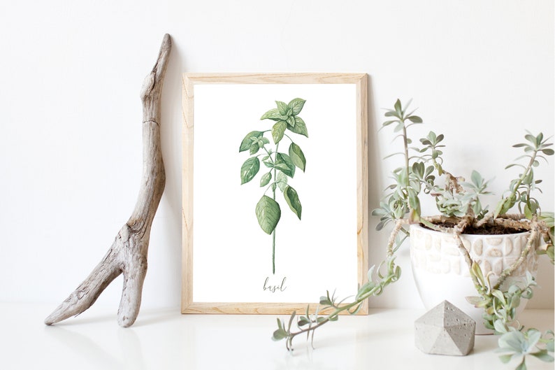 Basil DIGITAL Herb Watercolor Painting Garden, Botanical, Plant Artwork, Kitchen Decor, Farmhouse, Print INSTANT DOWNLOAD image 1