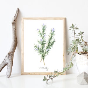 Rosemary DIGITAL Watercolor Herb Painting!  Garden, Botanical, Plant Artwork, Kitchen Decor, Farmhouse, Prints - INSTANT DOWNLOAD