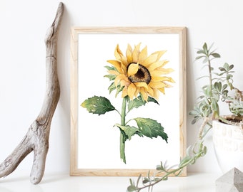 Sunflower Digital Download - Watercolor Painting, Botanical Wall Art, Floral Flower Plant Decor