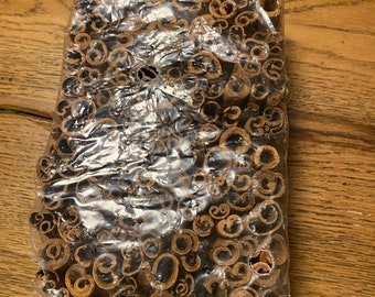 Cinnamon Sticks Bunch And Orange Ring Dried Christmas Decor Stock Image