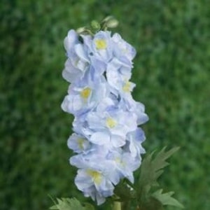 Artificial Double Pale Blue Delphinium, faux delphinium, statement flowers, home decor, pale blue silk flowers, artificial delphinium
