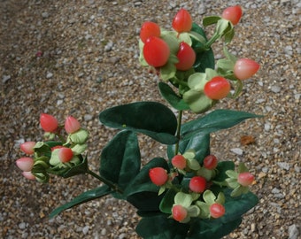 Artificial Vermilion Hypericum Berry Spray, Ferris Heart Sloane