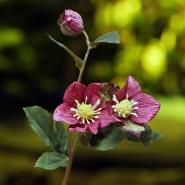 Artificial Dark Pink Hellebore Stem, faux hellebore, dark pink hellebore, Christmas rose