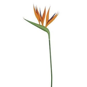 Artificial Birds of Paradise, faux bird, flower stem, faux flowers, artificial flowers, South African flower, crane flower