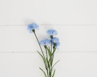 May include: A bouquet of light blue flowers with green stems against a white wood background.