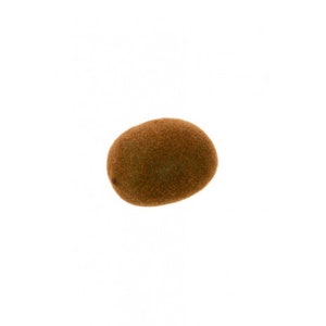 May include: A single kiwi fruit, oval-shaped, with a brown, fuzzy skin. The fruit is isolated against a white background, highlighting its natural texture and color. This image is suitable for food-related content.