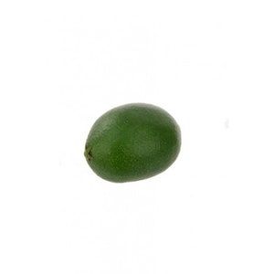 Artificial Green Lime Fruit, faux lime, artificial fruit, faux fruit