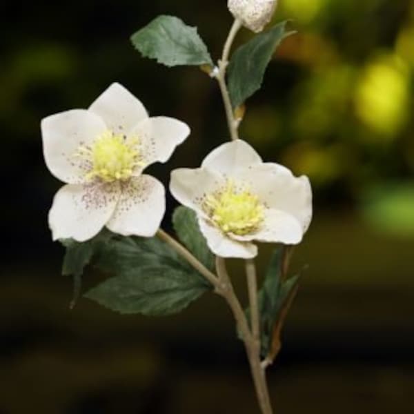 Artificial White Hellebore Stem, faux hellebore, white hellebore, Christmas rose