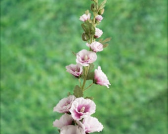 Artificial Lilac Hollyhock, lilac hollyhock stem, faux hollyhocks, silk hollyhock flowers, silk flower stem, lilac hollyhock, set styling