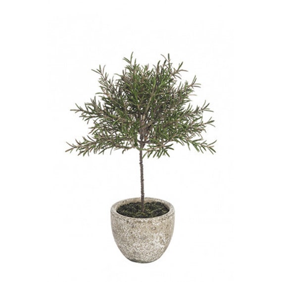 Artificial Rosemary Topiary Pot Faux Plant Faux Herb Potted