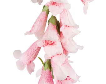 NEW Light Pink Wild Foxglove, faux foxglove, artificial flowers, wedding decoration, styling prop, set decoration