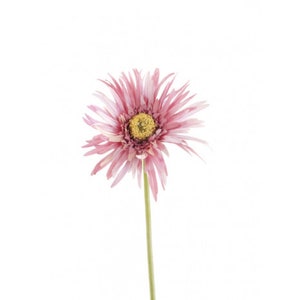 Artificial Gerbera Daisy Mauve Stem, artificial flower, faux flower, faux gerbera