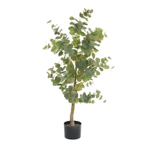 Topf Eukalyptusbaum Baumschmuck
