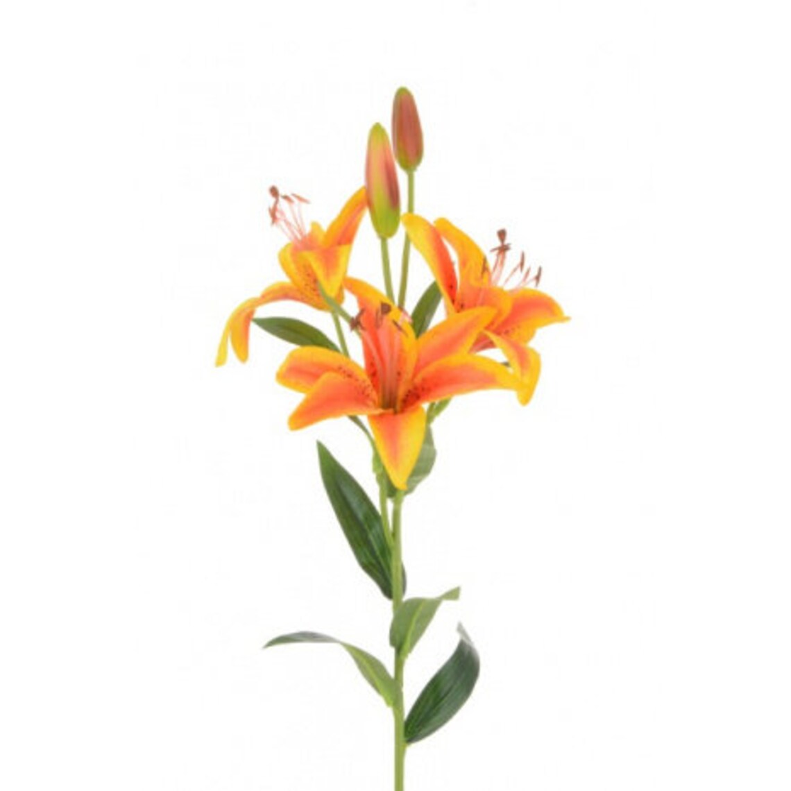Luxury Artificial Orange Tigerlily Stem Artificial Lily Etsy UK