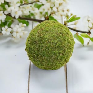 May include: A round ball of green moss, ideal for adding a touch of nature to your home decor.