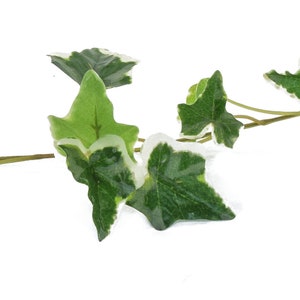Artificial Green Variegated English Ivy Plant Garland, garden garland