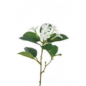 Artificial White Stephanotis Stem, artificial stephanotis, faux stephanotis, white stephanotis, floral decor, wild flowers